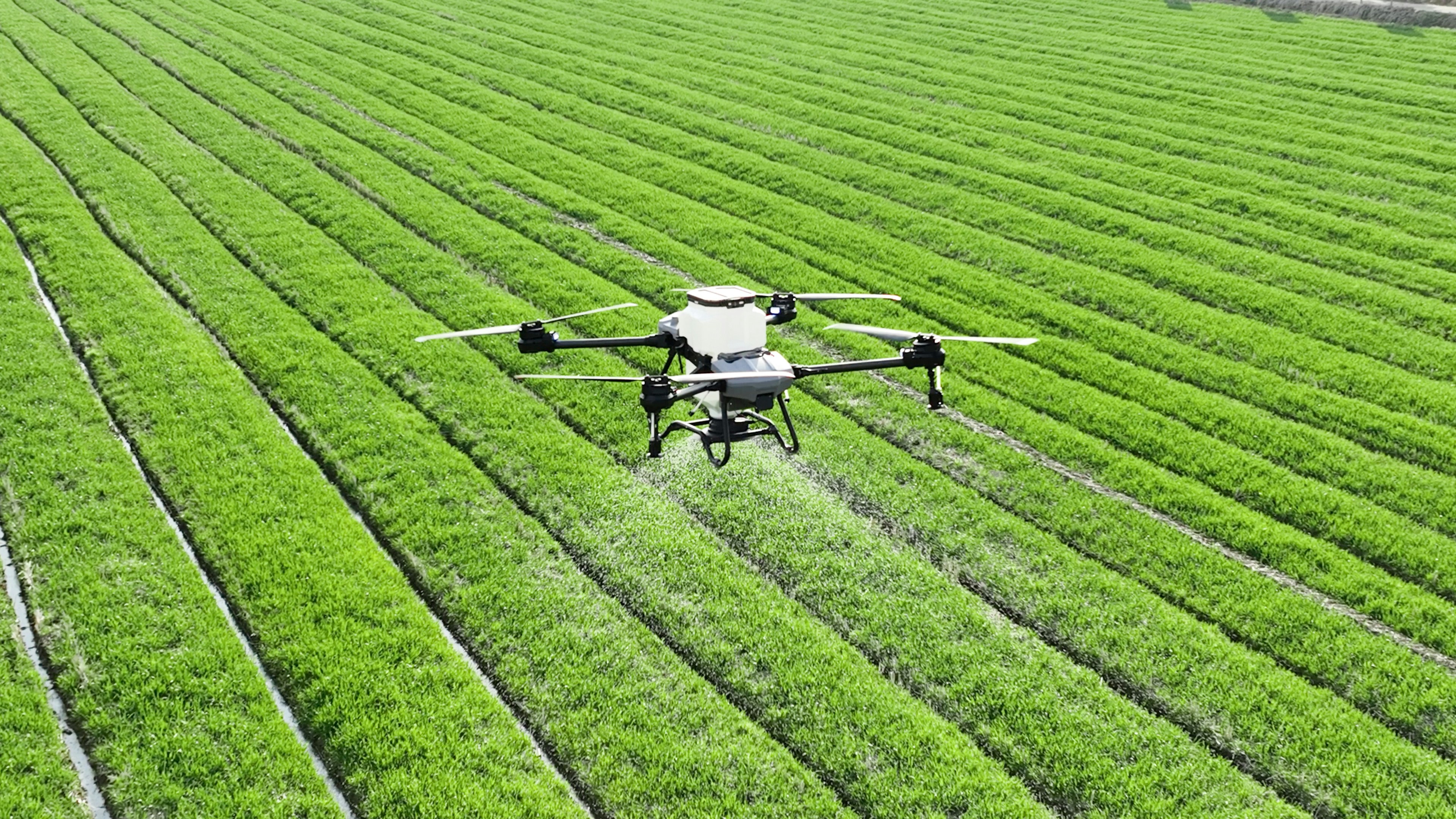 Climate-Smart Agriculture